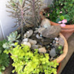 Meet your Posher, Mary ann